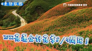 2022花蓮金針花季8／4開跑！40公頃金色花海超夢幻　最佳賞花期曝光｜ETtoday旅遊雲