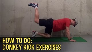 How To Do Donkey Kick Exercises