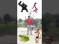 alien head to dancing alien gorilla joker dancing frog vfx magical video shortsfeed viralvideo