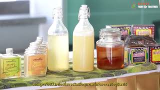 Expertise Cluster EP 11 : ชาหมัก kombucha mango