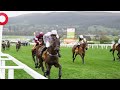 GOLDEN ACE serves up an upset in Mares' Novice Hurdle