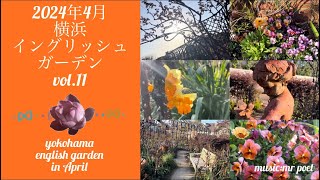 【2024年4月 横浜イングリッシュガーデン vol.11】yokohama english garden in April