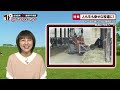 デーリィナビtv 59　『人も牛も幸せな牧場に 』北海道鹿追町　内海ファーム