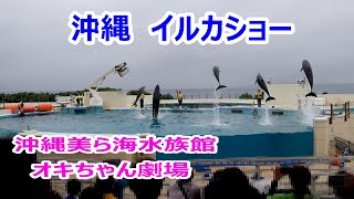 沖縄　イルカショー　沖縄美ら海水族館　オキちゃん劇場