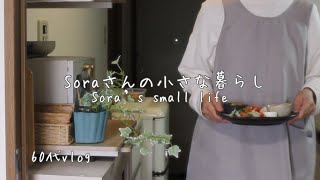 《64歳東京ひとり暮らし+1》いつもの様に帰れる幸せ/簡単作り置き/鶏もも料理2種/駅弁/娘とランチ　　#ねこのいる暮らし   #暮しのvlog