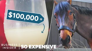 Why Horse Semen Is The World’s Most Expensive Liquid | So Expensive