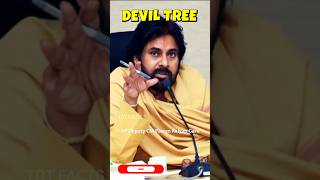 Dangerous Plant ll Devil Tree ll బ్లాక్బోర్డు డెవిల్ ట్రీ  ll TOT FACTS