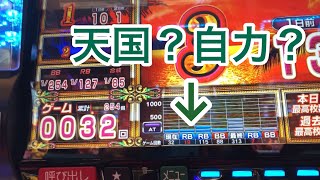 【検証8日目】沖ドキリセット後通常B狙いは勝てるのか？#沖ドキゴールド