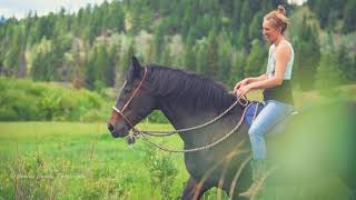 Whole Horse | Taming Wild's Elsa Sinclair reveals Freedom based Training