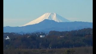 ★埼玉穴場★富士山の絶景（鴻巣河川敷）