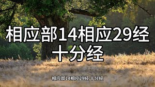 155.相应部14相应29经 十分经（白话佛经）解说