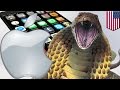 iPhone 7 hissing: Owners report iPhone 7 and iPhone 7 Plus hiss when put under pressure - TomoNews