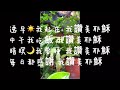 『阮是上帝心肝寶貝子』台語詩歌｜中文字幕