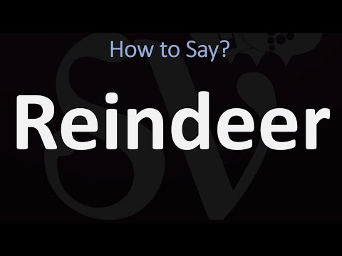 Is reindeer spelled correctly?