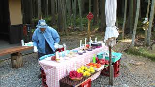 Kumano Kodo: Hosshimon Oji to Hongu - Robert Day Travel