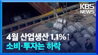 4월 산업생산 1.1%↑…소비·투자는 하락 / KBS  2024.05.31.