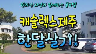 여름골프의 천국 캐슬렉스제주에서 올여름 휴가 어떠세요?