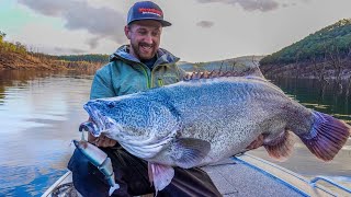 GIANT Murray cod - Big Baits for Heavy Weights