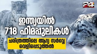 ഇന്ത്യയിൽ കണ്ടെത്തിയ 718 ഹിമപ്പുലികളിൽ 477 ഉം ലഡാക്കില്ലെന്ന് SPAI റിപ്പോർട്ട് India's Snow Leopards