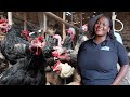 From Being a House Maid In Saudi To Becoming a Millionaire by Local Chicken Farming