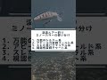 渓流ミノーカラーの使い分け