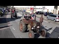 lanz bulldog oldtimer traktoren compilation