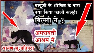 Sant Shri Asharam Bapu Ji के Amravati Ashram में श्रावण शु.प्रतिपदा को क्या किया काली बिल्ली ने ?