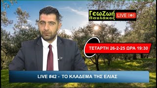 ΓΕΩΖΩΗ LIVE #42 - ΤΟ ΚΛΑΔΕΜΑ ΤΗΣ ΕΛΙΑΣ