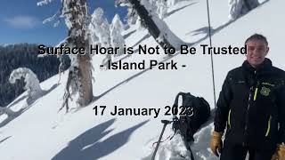 Surface Hoar is Not to Be Trusted - Island Park - 17 January 2023