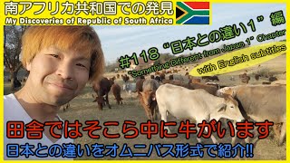 【南アフリカ】#118 日本との違いをオムニバス形式で紹介!! 治安、食べ物、動物、虫など色々紹介しています。　海外ボランティア