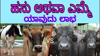 ಹೈನುಗಾರಿಕೆಗೆ ಹಸು /ಎಮ್ಮೆ ಯಾವುದು ಲಾಭದಾಯಕ.#dairyFarm#karnataka#buffaloFarm