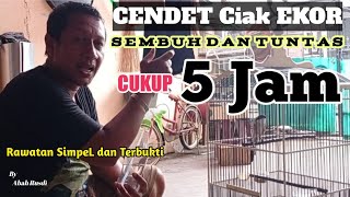 5 JAM ATASI CENDET CIAK EKOR