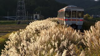 ～朱く色付く晩秋の夕暮れ～ JR紀勢本線 (2020.11.23)