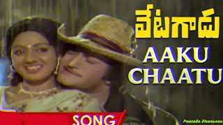 ఆకు చాటు పిందె తడిసే | Akuchatu pinde tadise | Song | Vetagadu (1979)