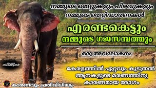 'എരണ്ടക്കെട്ടും നമ്മുടെ ഗജസമ്പത്തും'  ഒരു അവലോകനം | നമ്മുടെ തെറ്റുകളും തെറ്റിദ്ധാരണകളും |കാരണങ്ങൾ