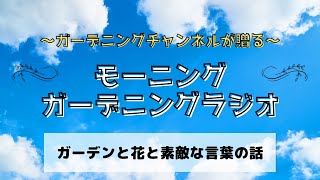 朝のガーデニングラジオ#1　今日からスタートの新シリーズ。ガーデニングラジオの朝版です。誕生花・朝のガーデニング・今朝の言葉・・・花を眺めながら心地よい時間をお過ごしください。#ガーデニング　#ラジオ