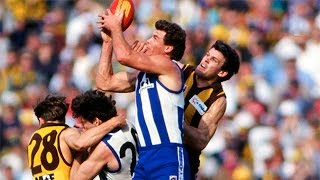 Flashback: Qualifying Final, 1994 - North Melbourne v Hawthorn (extra-time game)