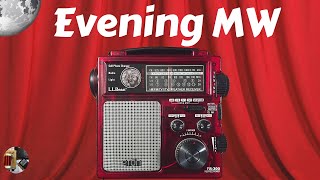 Eton FR-300 Weather Alert Radio Evening MW