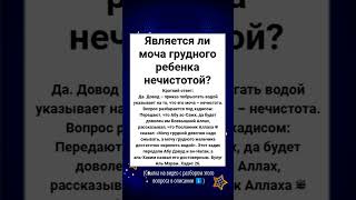 Является ли моча грудного ребенка нечистотой?