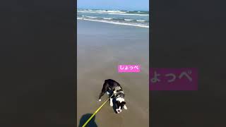 はじめての海