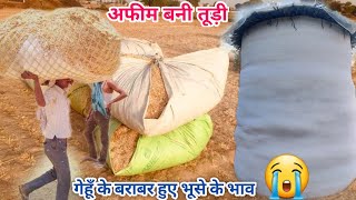 एक गठड़ी तूड़ी की कीमत तुम क्या जानो महेश बाबू 🤔#WheatStraw Price | Tudi ka rate // gehu bhusa ka bhav