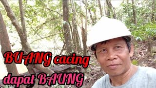 BUANG  cacing....dapat  BAUNG