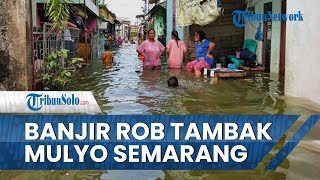 Banjir Rob Tambak Mulyo Semarang Jateng, Sudah Setinggi Pinggang Orang Dewasa: Ini Paling Parah