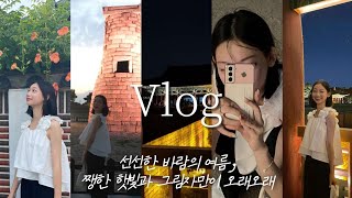 감성 여름 경주 vlog ｡*･ﾟ 관념적 여름은 이런 거야│초/늦여름 경주여행 바이럴│고양이, 소품샵투어, 맛집, 감성카페, 첨성대, 대릉원, 월정교, 동궁과월지 │대학생 브이로그