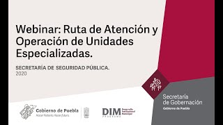 Webinar Ruta de Atención y Operación de Unidades Especializadas