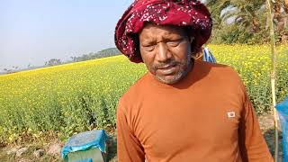 সরিষা ফুলের মধু তৈরি পদ্ধতি মেশিনের মাধ্যমে মধু সংগ্রহ । না দেখলে মিস।