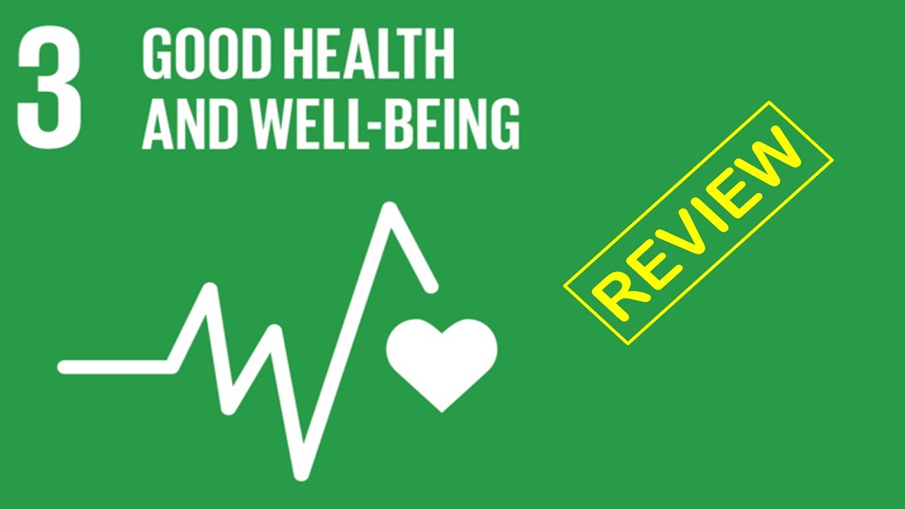 Review Of The Sustainable Development Goal 3 Report | SDG 3 Good Health ...