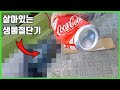 이거 귀엽고 예쁘다고 맨손으로 만졌다간 손가락 아작납니다! [TV생물도감]