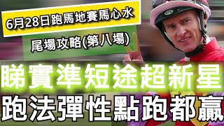 6月28日 快活谷夜馬賽事HKJC 尾場攻略|睇實準短途超新星 跑法彈性點跑都贏