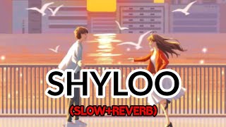 Shyloo (slow+reverb)  || Shyloo Kannada Movie || #bahaddurali